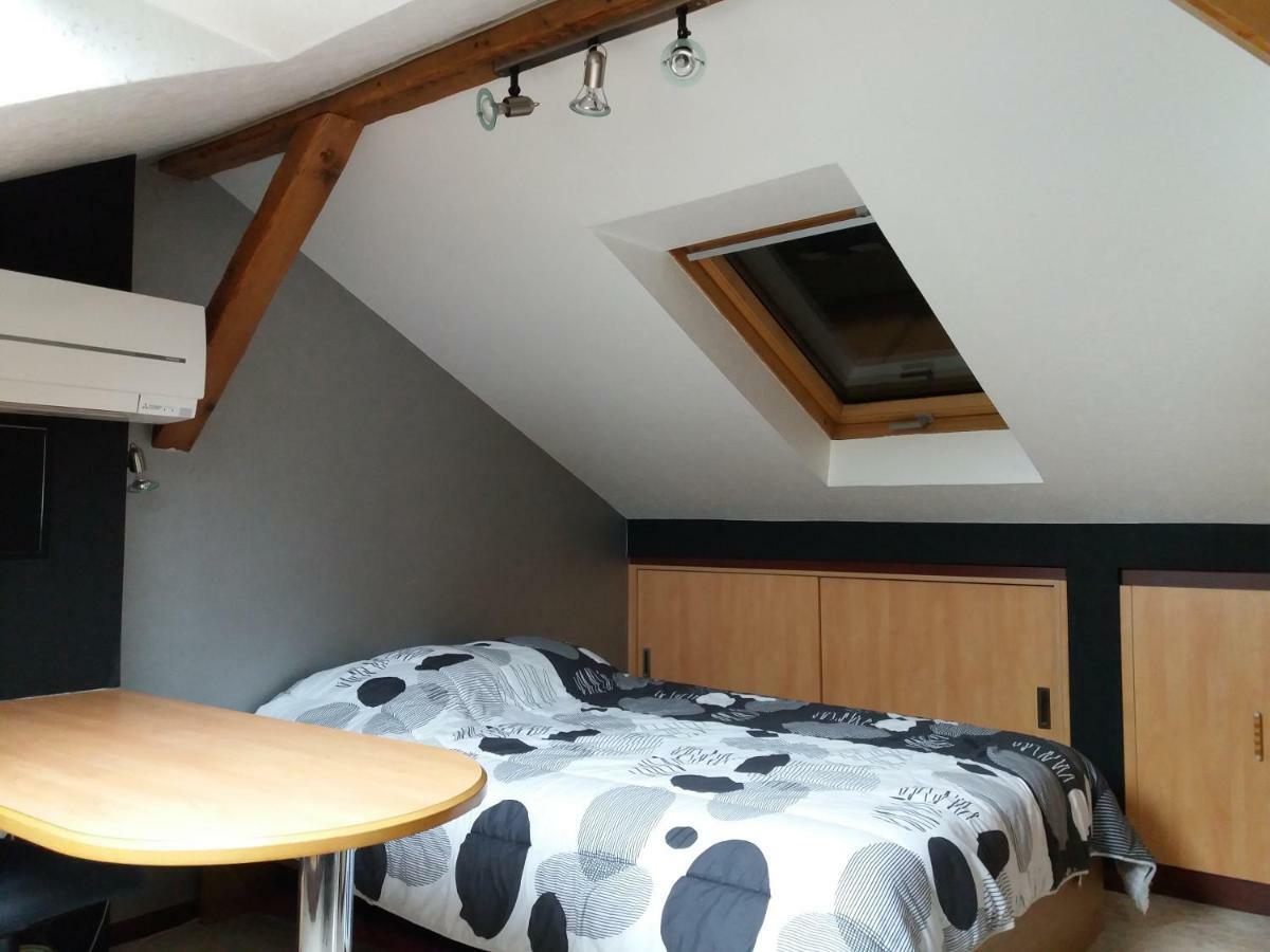 Logis 18 Rose Apartment Straßburg